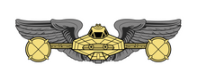 Load image into Gallery viewer, Y-Wing Gold Squadron Combat Pilot Badge
