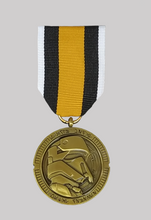 Load image into Gallery viewer, Coastal Defense Scarif Medal