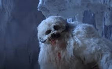 Load image into Gallery viewer, Howie Weed &quot;Wampa&quot; Challenge Coin
