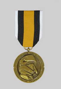 Coastal Defense Scarif Medal